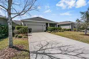 4374 Broad Porch Run, Land O Lakes, FL 34638 - Photo 3