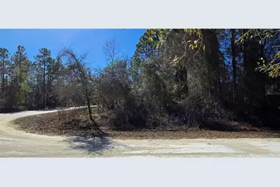 13231 Road Runner Avenue, Weeki Wachee, FL 34614 - Photo 7