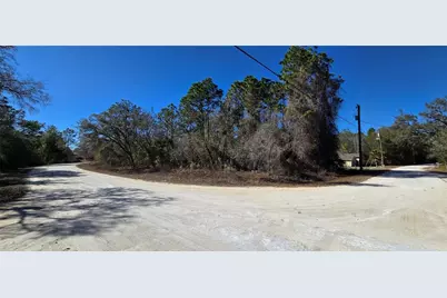 13231 Road Runner Avenue, Weeki Wachee, FL 34614 - Photo 5