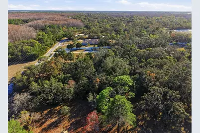 18117 Branch Road, Hudson, FL 34667 - Photo 17