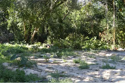 18117 Branch Road, Hudson, FL 34667 - Photo 11