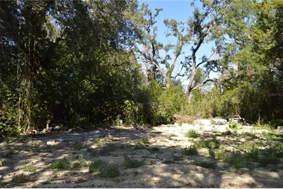 18117 Branch Road, Hudson, FL 34667 - Photo 7