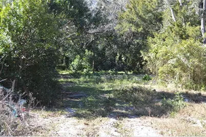 18117 Branch Road, Hudson, FL 34667 - Photo 21