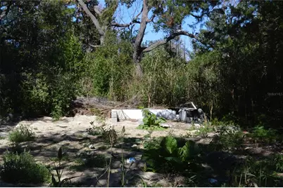 18117 Branch Road, Hudson, FL 34667 - Photo 5