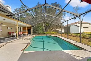 206 Rusk Cir, Spring Hill, FL 34606 - Photo 43