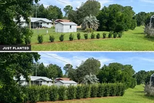 2388 N Brentwood Cir, Lecanto, FL 34461 - Photo 43