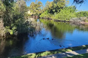 7737 Eureka Dr, Hudson, FL 34667 - Photo 21