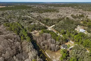 7235 N Canal St, Ridge Manor Estates, FL 33597 - Photo 81