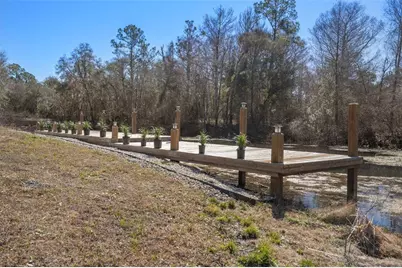 7235 N Canal Street, Ridge Manor Estates, FL 33597 - Photo 69