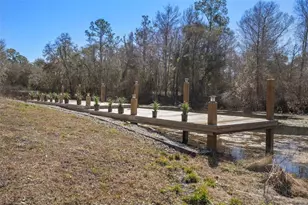 7235 N Canal St, Ridge Manor Estates, FL 33597 - Photo 69