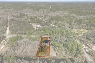 7235 N Canal St, Webster, FL 33597 - Photo 87