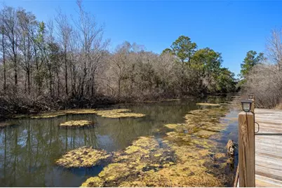7235 N Canal Street, Ridge Manor Estates, FL 33597 - Photo 73