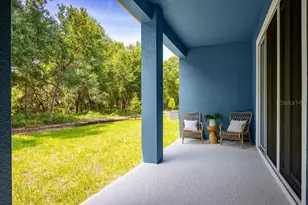 5233 Luisa Ct, Saint Cloud, FL 34771 - Photo 39