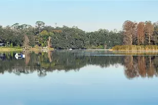 3606 River Grove Dr, Tampa, FL 33610 - Photo 41