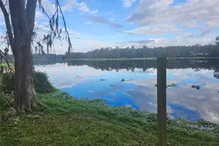 3606 River Grove Dr, Tampa, FL 33610 - Photo 17