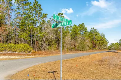 6932 N Glenridge Circle, Citrus Springs, FL 34434 - Photo 3