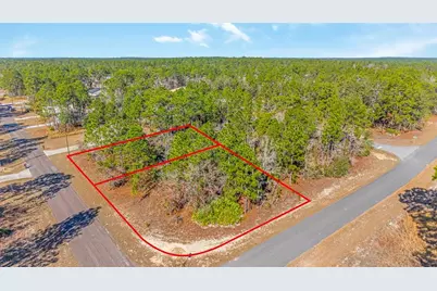 6932 N Glenridge Circle, Citrus Springs, FL 34434 - Photo 13