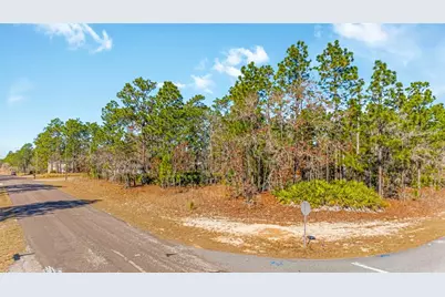 6932 N Glenridge Circle, Citrus Springs, FL 34434 - Photo 5