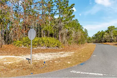 6932 N Glenridge Circle, Citrus Springs, FL 34434 - Photo 15