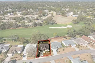 8009 Blue Skies Dr, Spring Hill, FL 34606 - Photo 49