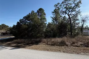 0 Gyrafalcon Ave, Weeki Wachee, FL 34613 - Photo 1