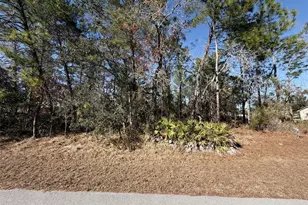 0 Fool Duck Ave, Weeki Wachee, FL 34613 - Photo 1