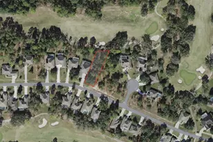 13 Deerwood Dr, Homosassa, FL 34446 - Photo 1