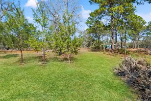 12222 Beagle Rd, Hudson, FL 34667 - Photo 45