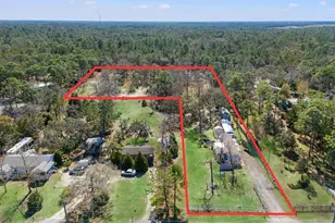 12222 Beagle Rd, Hudson, FL 34667 - Photo 3