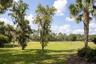 3030 W Bermuda Dunes Dr, Lecanto, FL 34461 - Photo 21