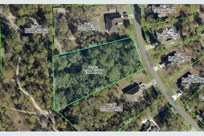 12090 Osprey Avenue, Weeki Wachee, FL 34614 - Photo 1