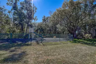 3125 Lake Pine Way, Tarpon Springs, FL 34688 - Photo 29