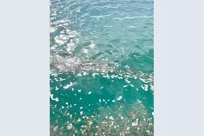 1119 Simonton Street #A1, A2, C1, Key West, FL 33040 - Photo 47