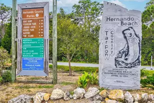 4290 Carlos Ct, Hernando Beach, FL 34607 - Photo 69