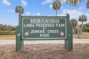 4290 Carlos Ct, Hernando Beach, FL 34607 - Photo 71