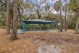 4290 Carlos Ct, Hernando Beach, FL 34607 - Photo 77