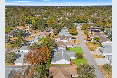 3119 Saw Mill Lane, Spring Hill, FL 34606 - Photo 51