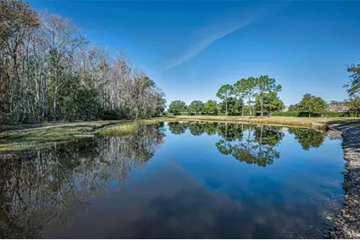 1549 Arlington Oaks Court, Trinity, FL 34655 - Photo 37