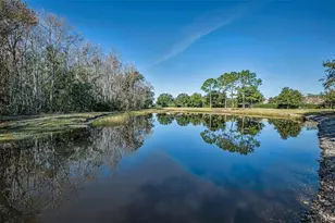 1549 Arlington Oaks Ct, Trinity, FL 34655 - Photo 37