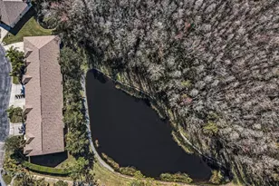 1549 Arlington Oaks Ct, Trinity, FL 34655 - Photo 35