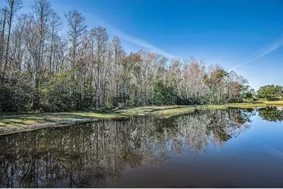 1549 Arlington Oaks Court, Trinity, FL 34655 - Photo 39