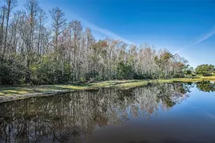 1549 Arlington Oaks Ct, Trinity, FL 34655 - Photo 39