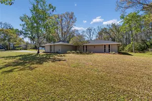 10909 Candy Ln, New Port Richey, FL 34654 - Photo 3