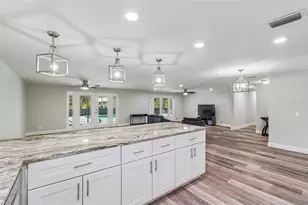 10909 Candy Ln, New Port Richey, FL 34654 - Photo 13