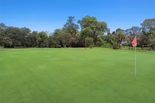 7433 Greystone Dr, Hudson, FL 34667 - Photo 79