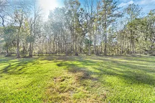 19546 Mossy Oak Ct, Brooksville, FL 34601 - Photo 35