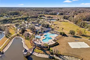 5586 Angelonia Terrace, Land O Lakes, FL 34639 - Photo 61