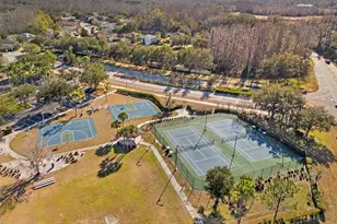 5586 Angelonia Terrace, Land O Lakes, FL 34639 - Photo 63