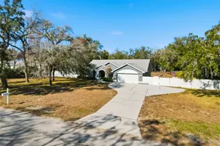 12923 Oak Nut St, Hudson, FL 34667 - Photo 19