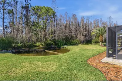 1133 Sweet Jasmine Drive, Trinity, FL 34655 - Photo 39